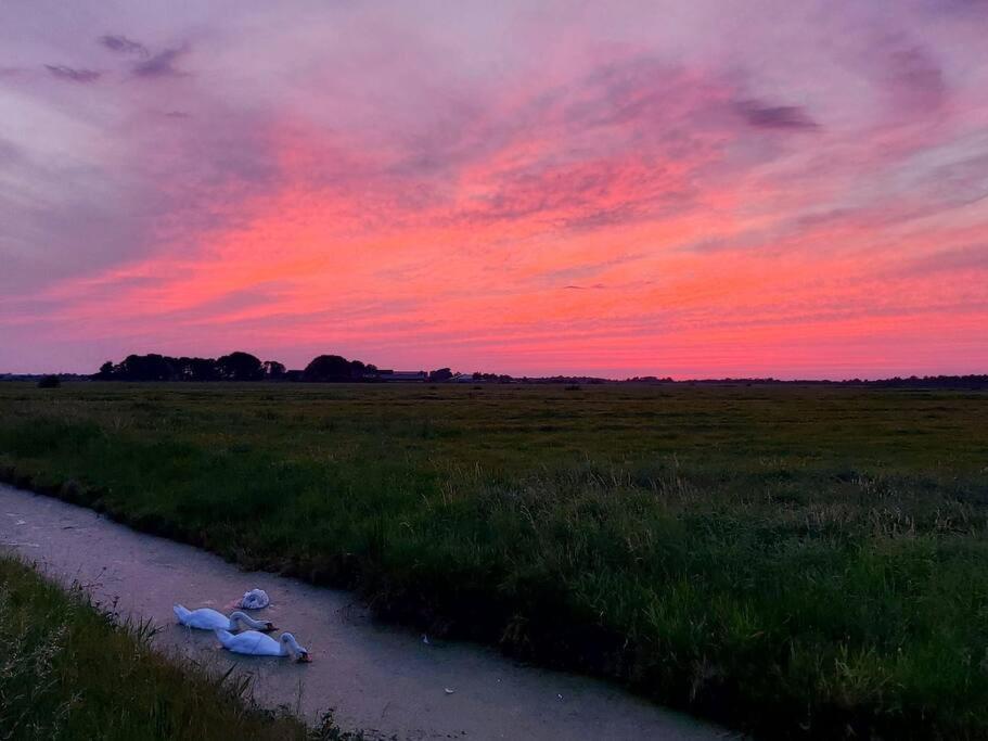 Tiny House "De Veenpolder" De Veenhoop Екстериор снимка